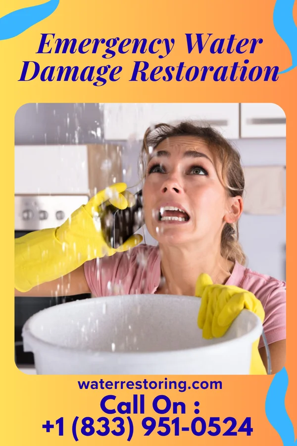 Emergency Water Damage Restoration in Alton, IA